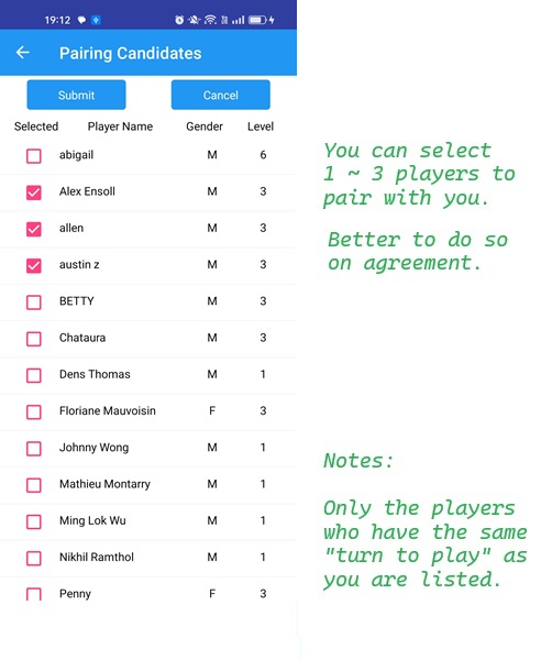 Halaman Informasi Pemain